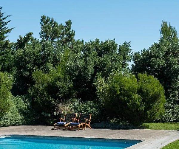 Garden Seaside By Cadenzalux Cascais