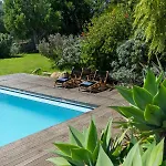 Garden Seaside By Cadenzalux