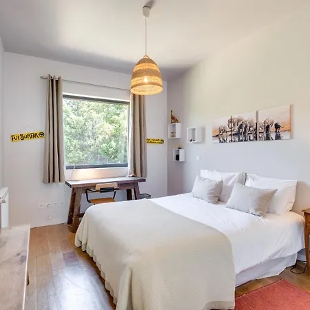 Garden Seaside By Cadenzalux Willa Віавіа