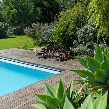 Garden Seaside By Cadenzalux